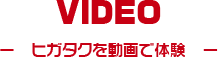 VIDEO ヒガタクを動画で体験
